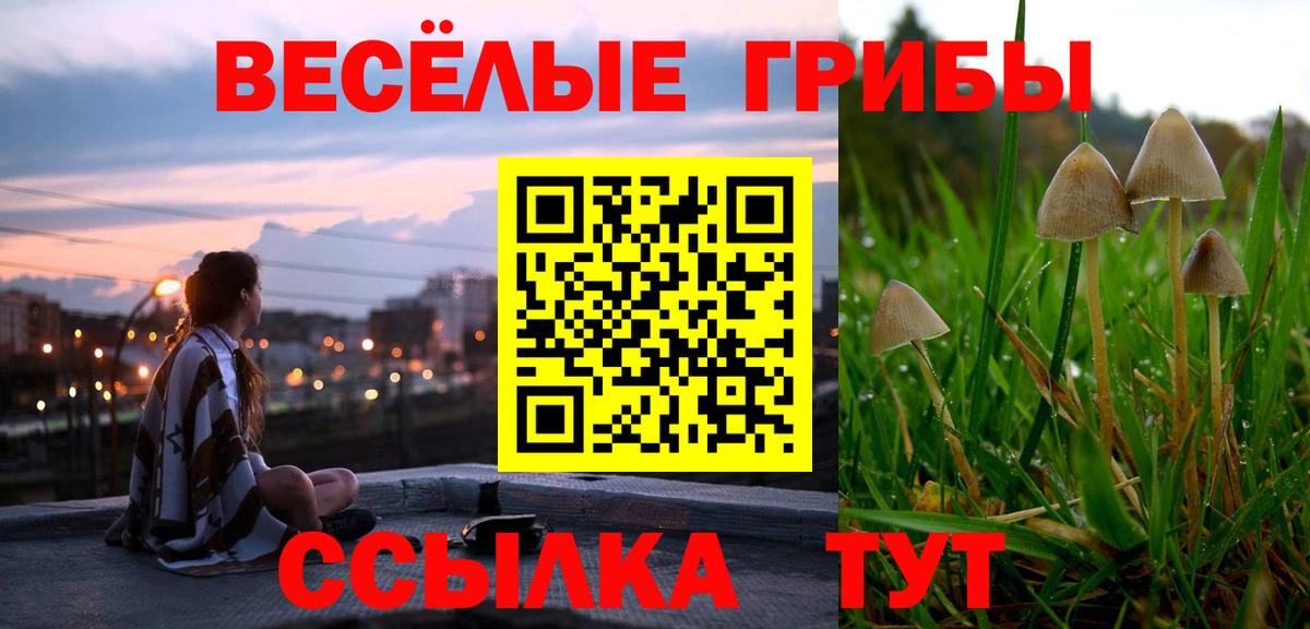 Канабис  A PVP СОЛЬ   Купить наркоту  COCAIN  Меф МЯУ МЯУ кристаллы  ГАШ  Анжеро-Судженск  Вход с VPN  Мефедрон  ГАШИШ  АМФЕТАМИН  